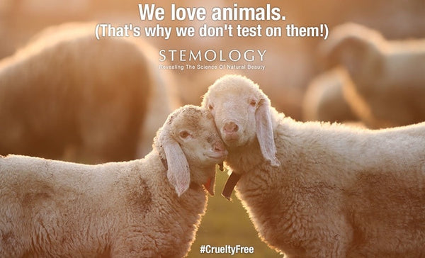 We Love Animals #CrueltyFree 